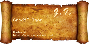 Groó Igor névjegykártya